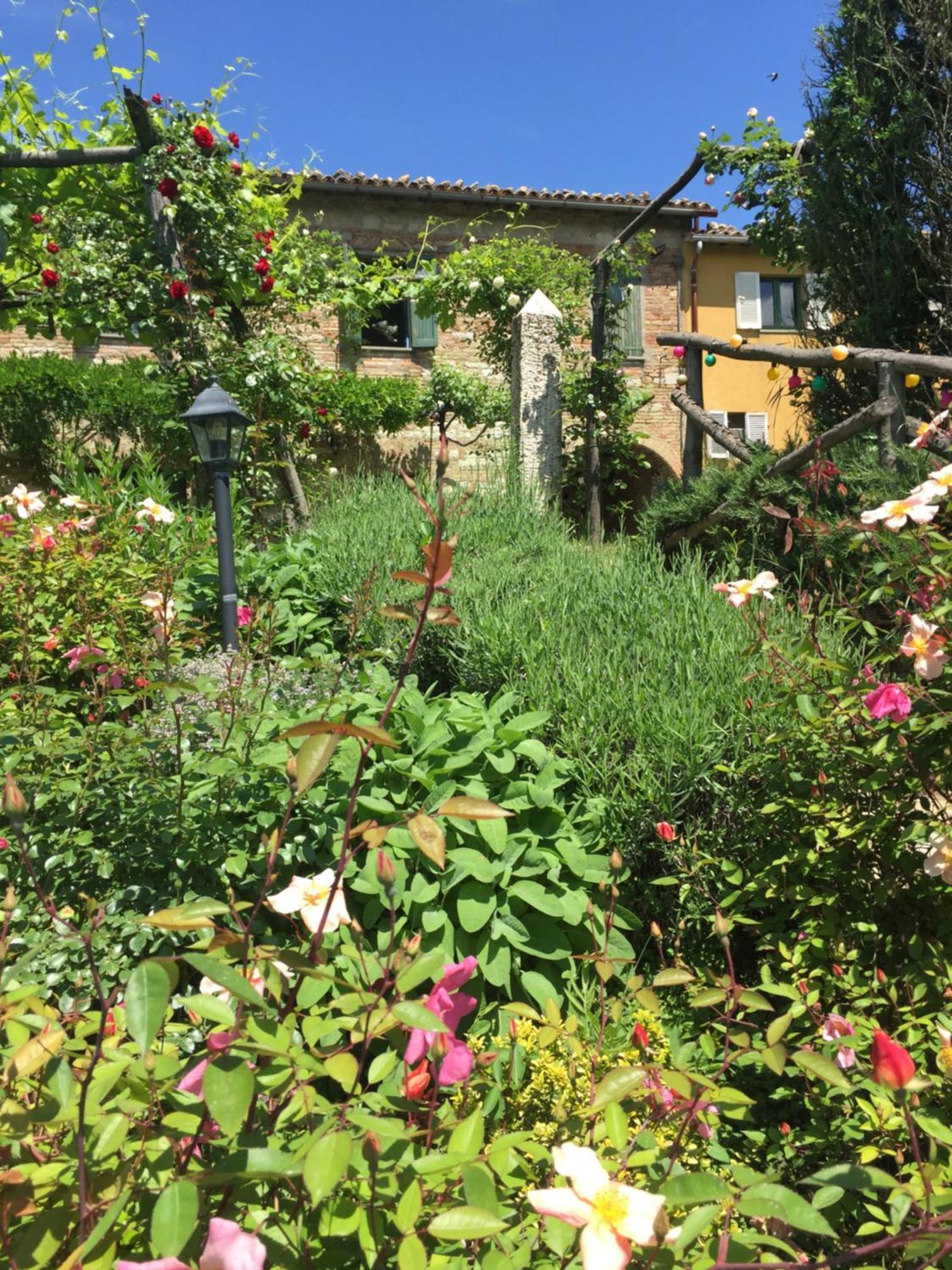 Villa Il Broglino Todi Esterno foto