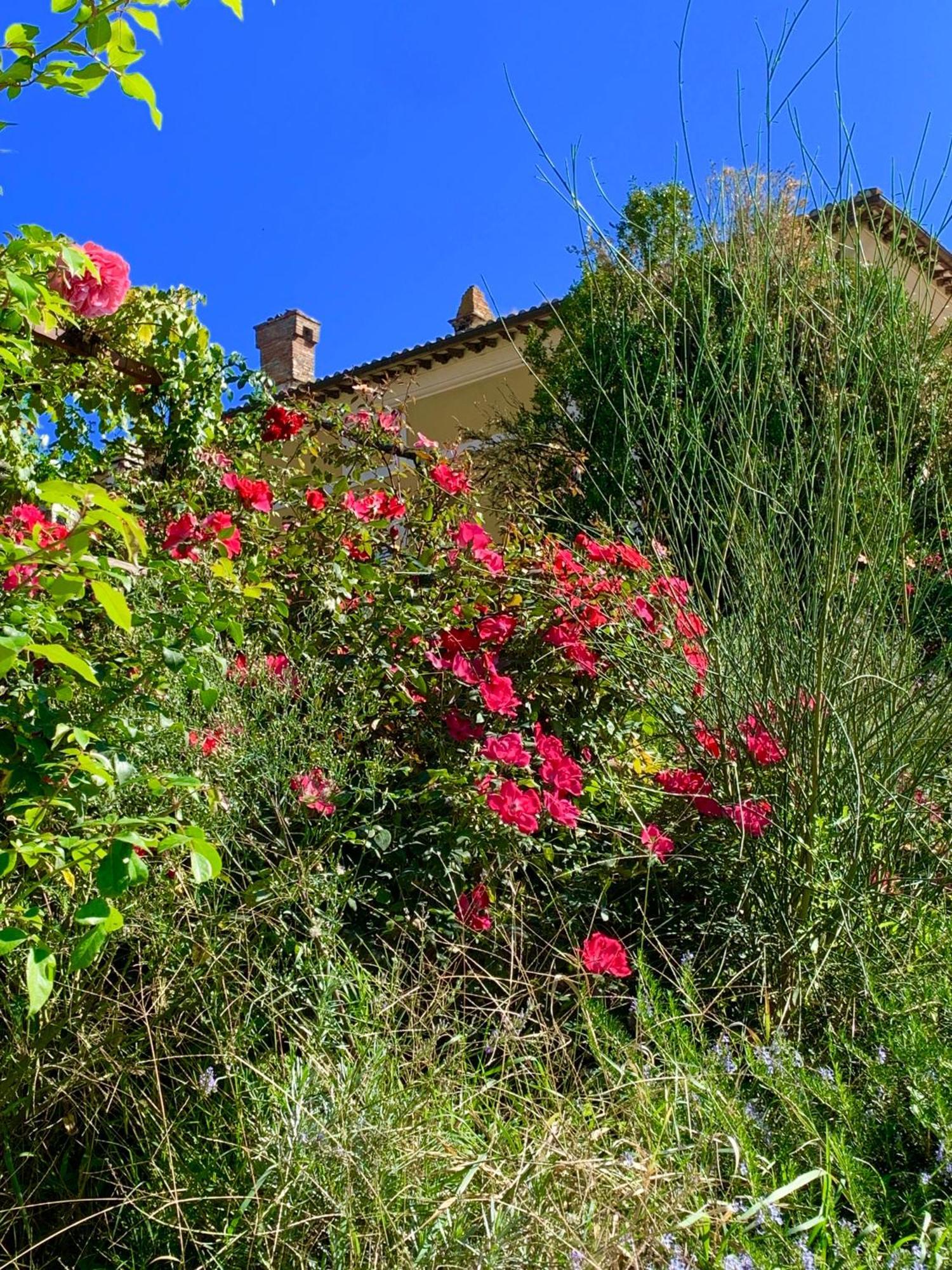 Villa Il Broglino Todi Esterno foto